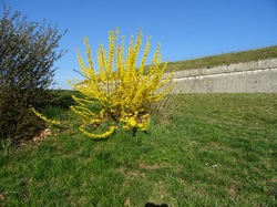 Autour du fort de Barraux
