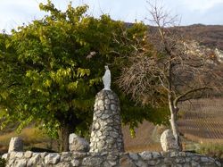 Balade dans les vignes