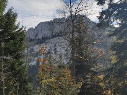 Belvédère d'Arpison