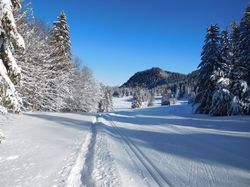 Belvédère d'Arpison