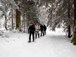 Belvédère d'Arpison (Chartreuse)