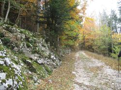 Belvédère des Nonnes (Chartreuse)