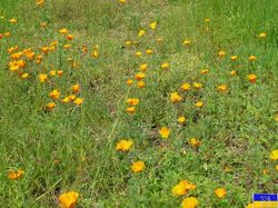 Boucle de St Pierre de Soucy