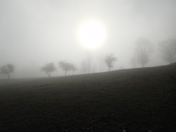 Boucle du Banchet - Jura