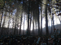 Boucle du Banchet - Jura