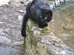 Cascade Les Dioux moulin de Porte Traine
