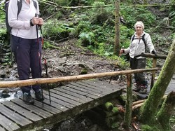 Chalet du Verney - Bourget en huile