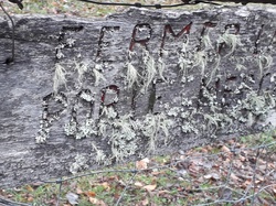 Chalet de la Serve (Bauges)