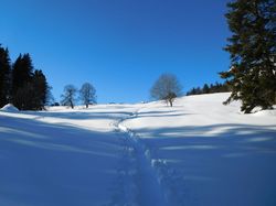 Chalets de la Fullie