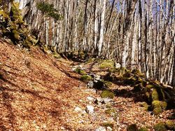 Chalets de la Fullie