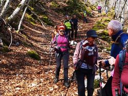 Chalets de la Fullie