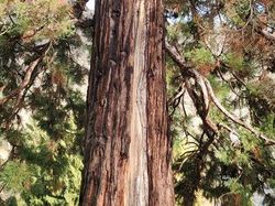 Challes les Eaux, hauteurs et châteaux