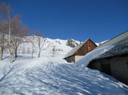 Chambeaux grandes rousses (les)