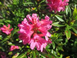 Chapotet (Belledonnes)