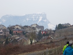 Chartreuse de Lourdens