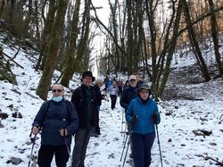 Château de la Rive - Cruet