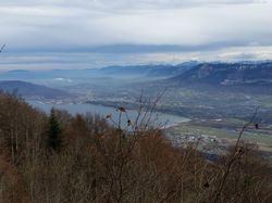 Château Richard la croix du Signal
