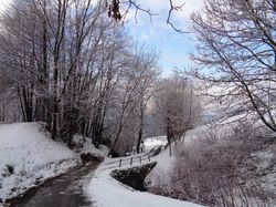 Cité médiévale de Conflans (repas fin d'année)
