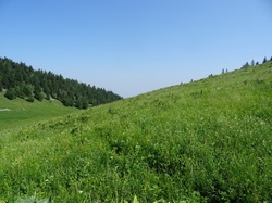 Col de l'Aliénard et de la Ruchère