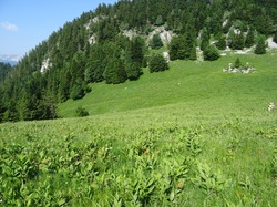 Col de l'Aliénard et de la Ruchère