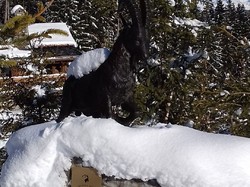 Col de la Lune et Plan des Danses (Vanoise)