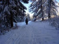 Col de la Sciaz (Bauges)