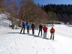 Col du coq (Chartreuse)