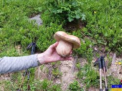 Chalet de Lachat et Roche de Midi.