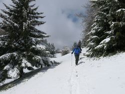 Crêt de la Dolca (objectif ...) Bauges