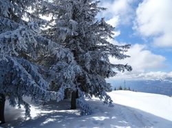 Crêt du Poulet (Belledonne)