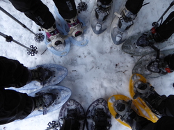 Crête de l'Aliénard