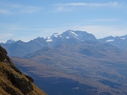 Crève tête (Cheval noir)