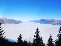 Crève Tête (Cheval Noir)