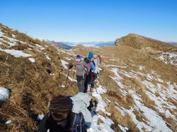 Crève Tête (Cheval Noir)