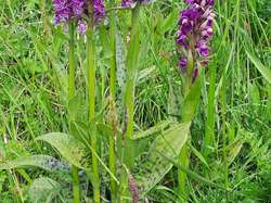 Croix de Coste / Mont Bissanne.