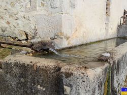 Crêtes de l'Aliénard