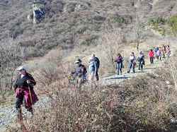 Dans les vignes d'Arbin à Cruet