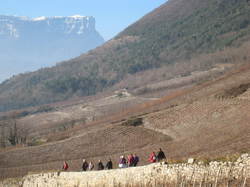 de Cruet aux Calloudes sur le sentier des vignes