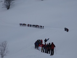 Doucy Cimes (Faites de la Raquette)