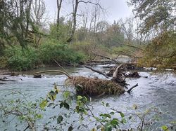 2024.10.23 Doussard, réserve du bout du lac d'Annecy