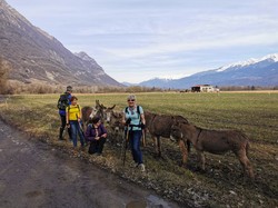 Du lac de Carouge à Fréterive
