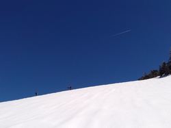 Grand Manti (le) - Chartreuse