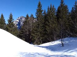 Grand Manti (le) - Chartreuse