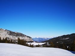 Le Habert de St Vincent