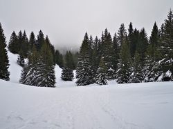 Le Habert de St Vincent