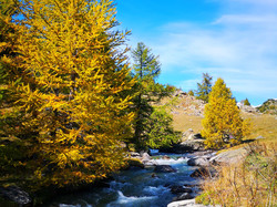 HTE VALLEE DE LA CLAREE