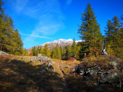 HTE VALLEE DE LA CLAREE