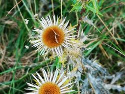 J3 Issarles à Usclades