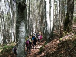 Journée randonnée nature ( Aillons-Magériaz)