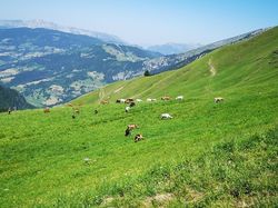 Journées des Bénévoles et Animateurs Tour de la Tulle